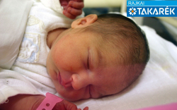 Hajós Dorina, Mosonmagyaróvár