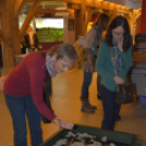 Nezsideri óvodákból látogattak városunkba