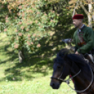 XII. Szigetköz ízei, Vármegye borai Fesztivál 2. nap