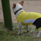 Voluta vasárnap (Fotó: Nagy Mária)