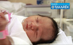 Horváth Szofi, Mosonmagyaróvár