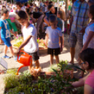 Apró Kezek, Csodakertek