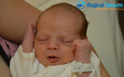 Riskó Levente, 3180 gr. Jánossomorja