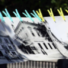 Virágzó Város Mosonmagyaróvár 2. nap (Fotó: Stipkovits Veronika)