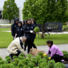 Virágosítás a városközpontban