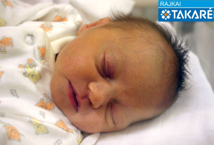 Kovács Hanna, Mosonmagyaróvár