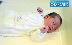 Kránicz Benedek, Mosonmagyaróvár