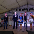 Szigetköz ízei, vármegye borai fesztivál / VÁRMEGYE SZÉPE - VÁRMEGYE HANGJA (Fotó: Horváth Attila)