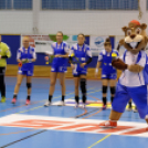 Női kézilabda NBI, Alapszakasz: 21. forduló MKC SE – DVSC-TVP-AQUATICUM (26-27) (Fotó: Horváth Attila)