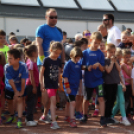 XV. Greiner Szigetköz Félmaraton