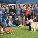 CAC kutyakiállítás (Fotó: Nagy Mária)
