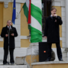 2015. MÁRCIUS 15. Mosonmagyaróvár (Fotó: Horváth Attila)