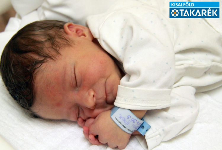 Makkai Áron Alexander, Mosonmagyaróvár