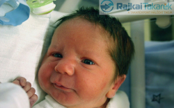 Gulyás Bálint, Levél