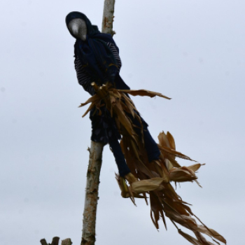 Nyárbúcsúztató Fesztivál