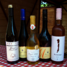 XII. Szigetköz ízei, Vármegye borai Fesztivál 3. nap