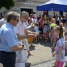 VII. Apró kezek, csodakertek Gyermek Kertépítő verseny