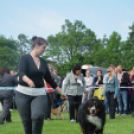 CAC kutyakiállítás (Fotó: Nagy Mária)