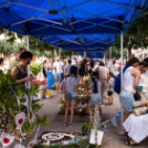 Apró Kezek, Csodakertek