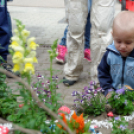 Apró kezek, csodakertek kertépítő verseny (Fotó: Horváth Attila)