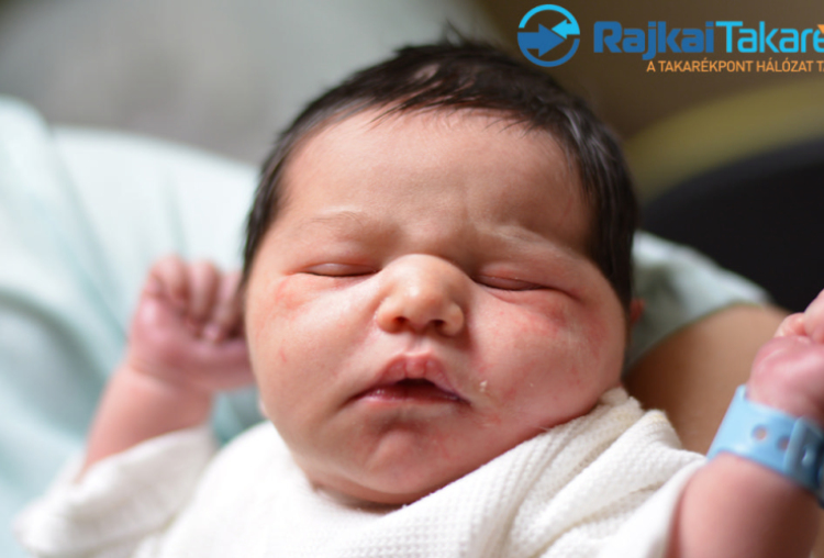 Pollhammer Magor, 3790 gr. Móvár