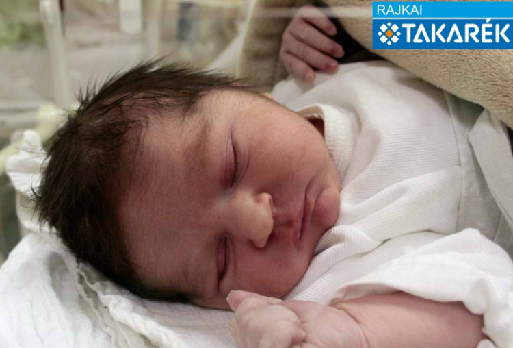 Domonkos Kornél, Mosonmagyaróvár