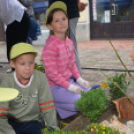 VI. Apró kezek, Csodakertek Gyermek Kertépítő verseny (Fotó: Bánhegyi István)