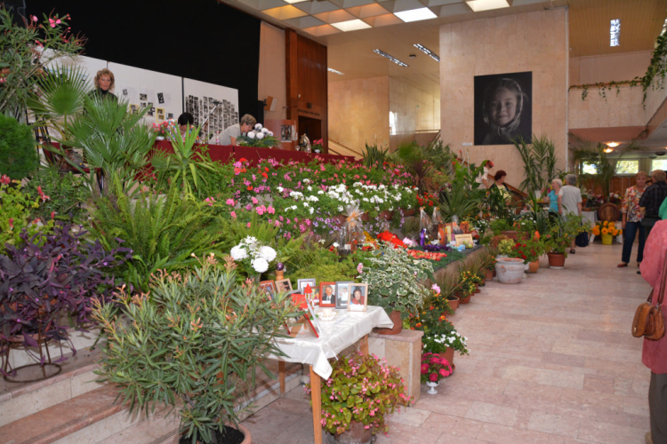 Legszebb konyhakertek (Fotó: Nagy Mária)