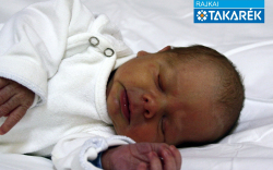 Bognár Gergő, Csorna