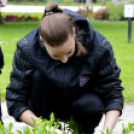 Virágosítás a városközpontban