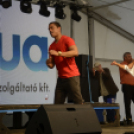 XII. Szigetköz ízei, Vármegye borai Fesztivál 3. nap