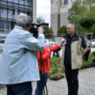 Virágosítás a városközpontban