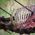 Ökör sütés az Englernél (Fotó: Nagy Mária)