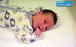 Kertész Nolen, Mosonmagyaróvár