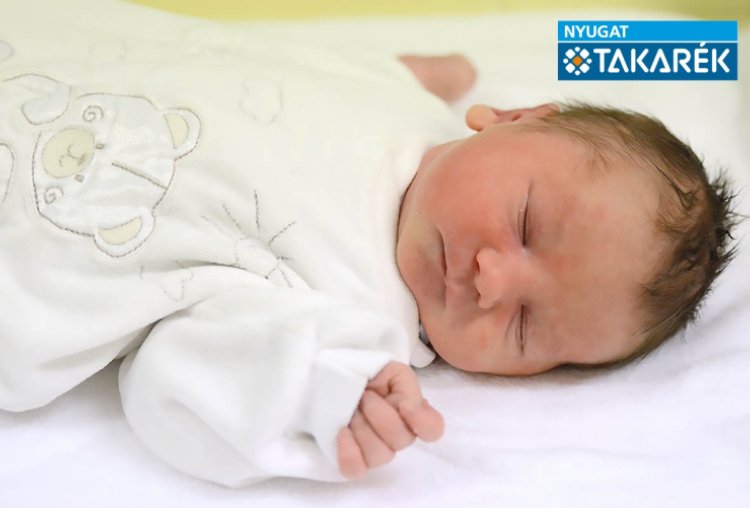 Lipovits Lajos, Jánossomorja