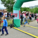 XII. Greiner Szigetköz Minimaraton (Fotó: Horváth Attila)