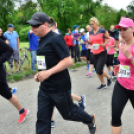 XII. Greiner Szigetköz Minimaraton (Fotó: Horváth Attila)