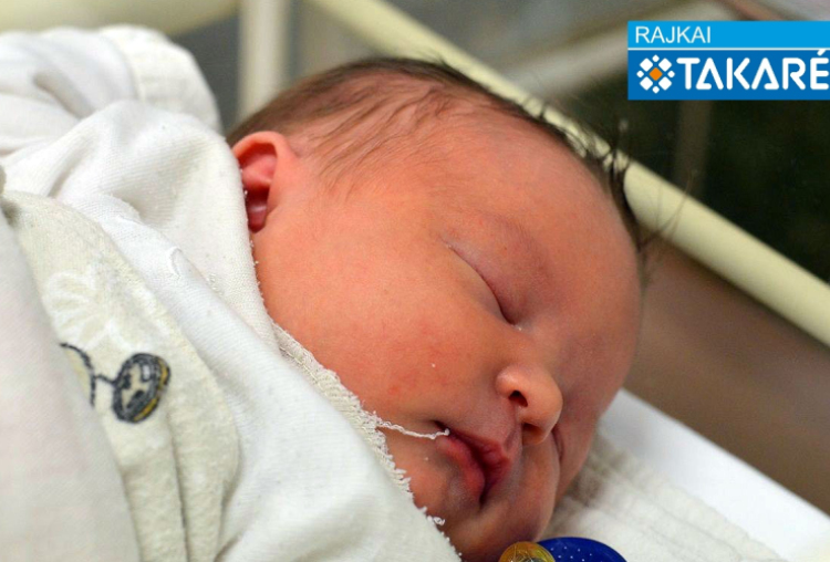 Meszlényi Hanna, Mosonmagyaróvár