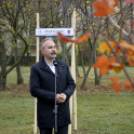 Országfásítási program Mosonmagyaróvár