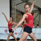 Szigetköz ízei, Vármegye borai Fesztivál 3 nap, 140 Éves Mosonmagyaróvár Város Tűzoltósága (Fotó: Bánhegyi István)