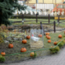 Márton nap a Móra Ferenc Általános Iskolában