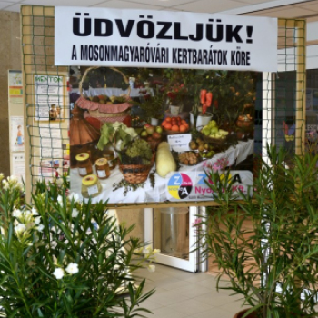 Termény- és virágkiállítás 