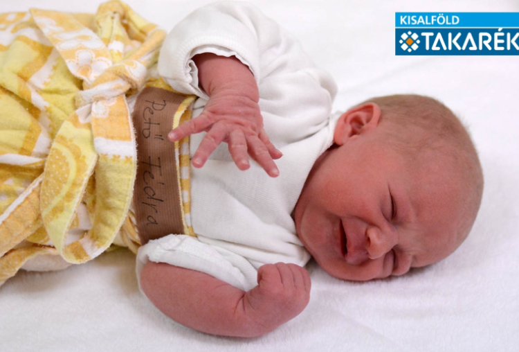 Pető Fédra, Máriakálnok