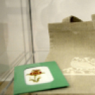 A NÉPMŰVÉSZET VONZÁSÁBAN