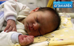 Körtvélyesi Kimberli Kiara, Mosonmagyaróvár