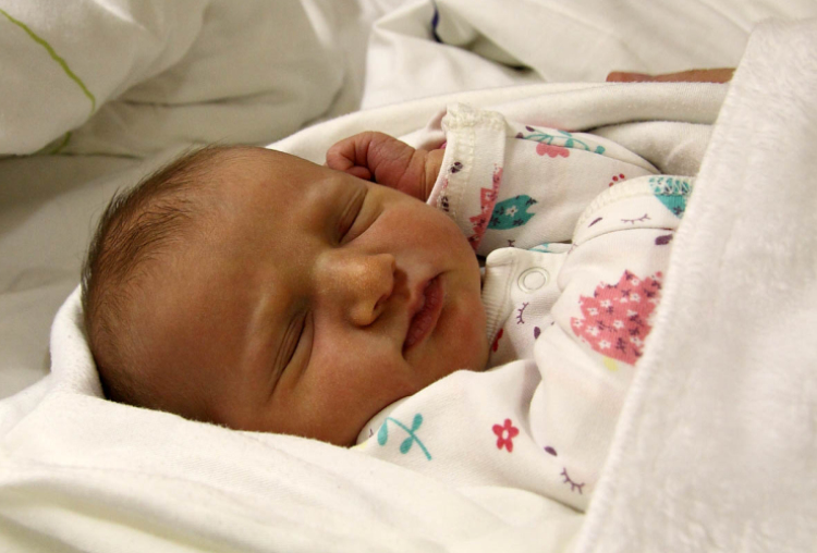 Máté Luca, Mosonmagyaróvár