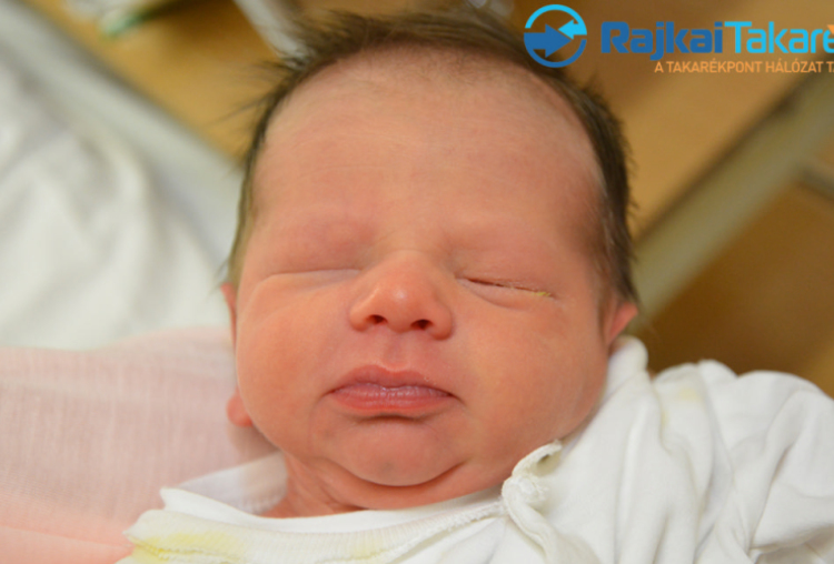 Virizlai Zsolt Pál, 3015 gr. Hegyeshalom