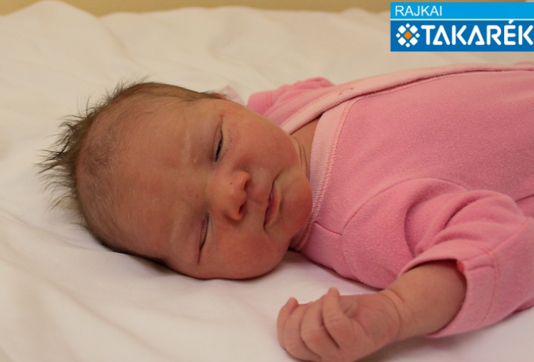 Vékás Katalin, Győr