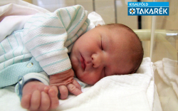 Vajas Bendegúz Benedek, Dunasziget