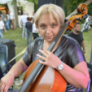 Moson Big Band koncert